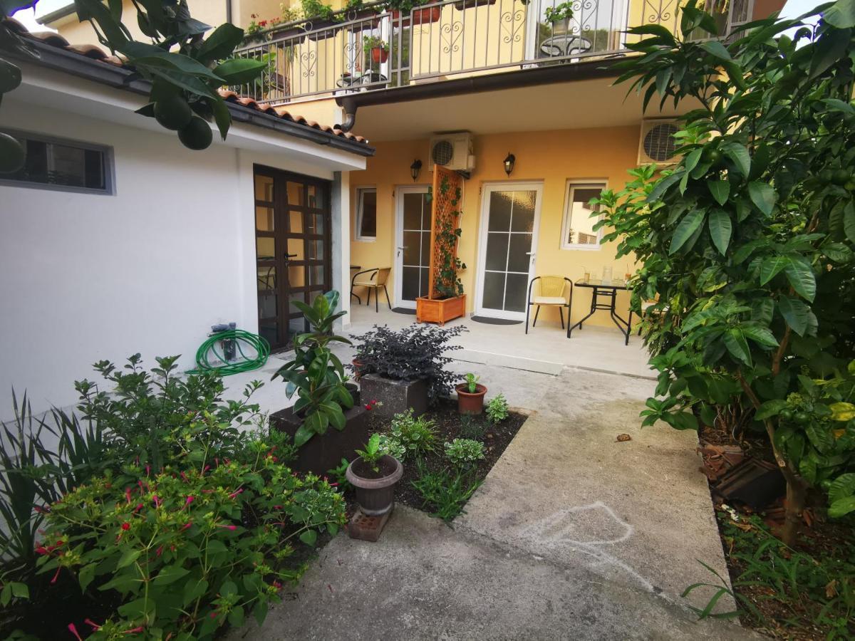 בודווה Radovic Apartments מראה חיצוני תמונה